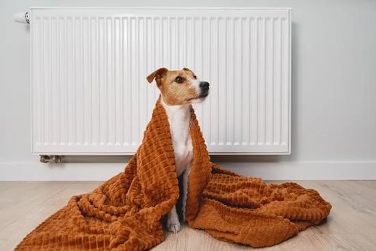 Test your heating!