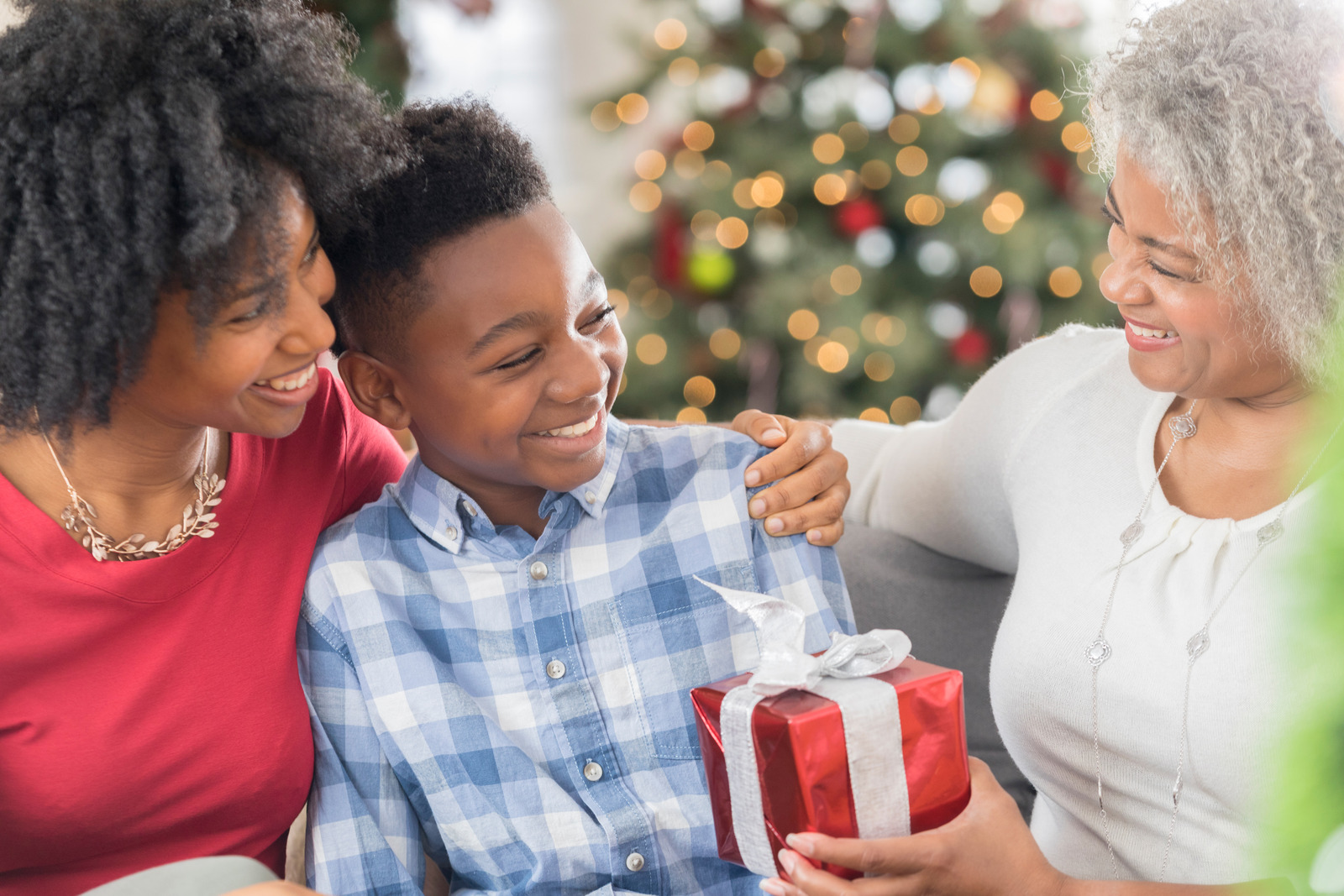 Your present purchasing guide!